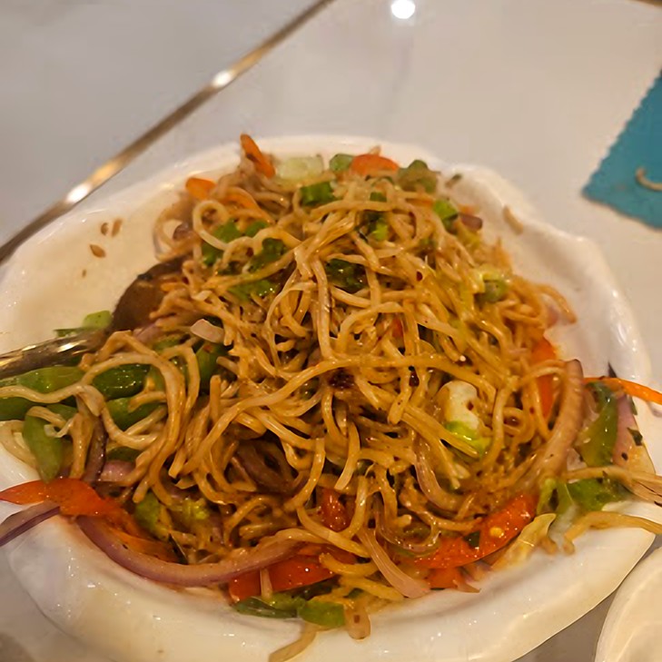 Veg Hakka Noodles